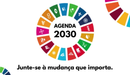A Agenda 2030