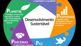 Os 5’Ps da sustentabilidade 