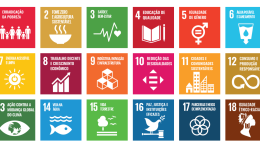 Os ODS e suas metas 