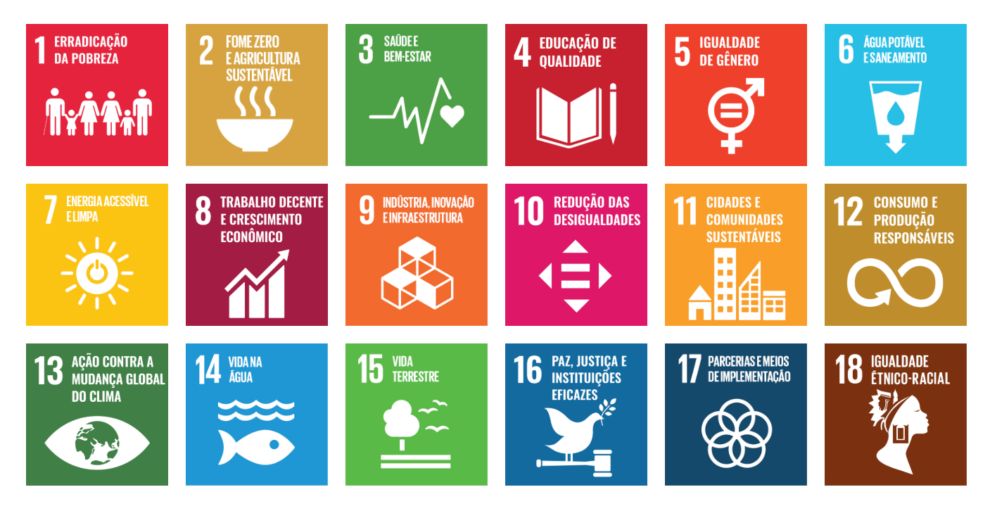 Os ODS e suas metas 